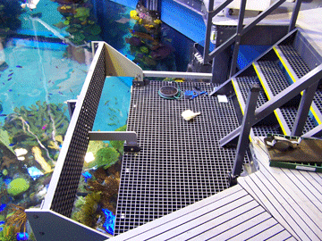 Silverton Casino Aquarium
