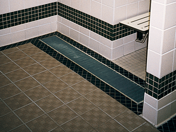 Shower Drains