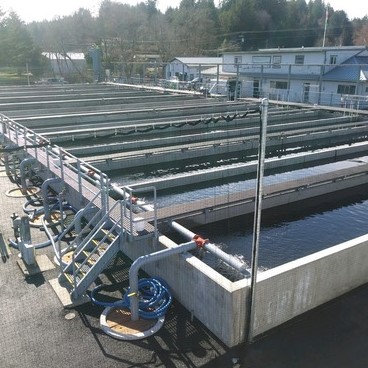 fish, hatchery, with, safe-t-span, pultruded grating, g r p composite structures