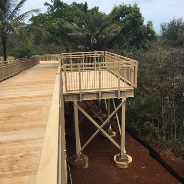 elevated boardwalk, f r p, structural shapes, dynaform, guardrail